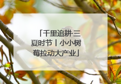 千里追耕·三夏时节丨小小树莓拉动大产业