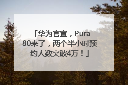 华为官宣，Pura 80来了，两个半小时预约人数突破4万！