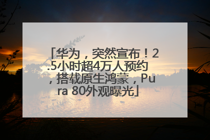 华为，突然宣布！2.5小时超4万人预约，搭载原生鸿蒙，Pura 80外观曝光