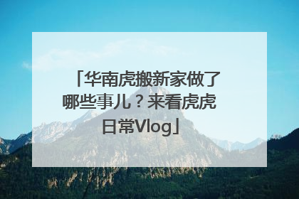 华南虎搬新家做了哪些事儿？来看虎虎日常Vlog