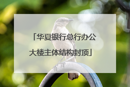华夏银行总行办公大楼主体结构封顶