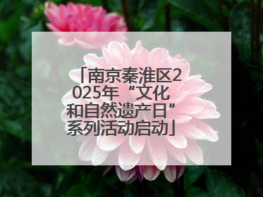 南京秦淮区2025年“文化和自然遗产日”系列活动启动