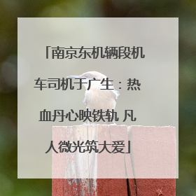 南京东机辆段机车司机于广生：热血丹心映铁轨 凡人微光筑大爱
