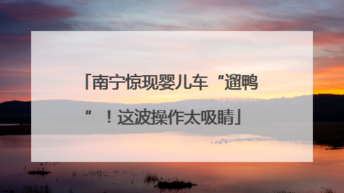南宁惊现婴儿车“遛鸭”！这波操作太吸睛
