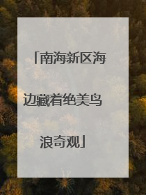南海新区海边藏着绝美鸟浪奇观