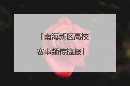 南海新区高校赛事频传捷报