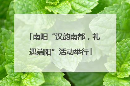 南阳“汉韵南都，礼遇端阳”活动举行