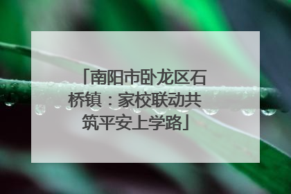 南阳市卧龙区石桥镇：家校联动共筑平安上学路