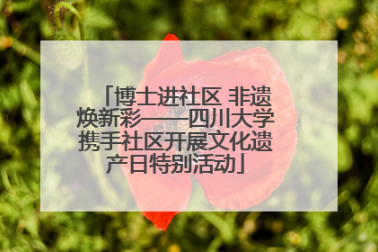 博士进社区 非遗焕新彩——四川大学携手社区开展文化遗产日特别活动