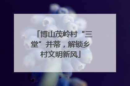 博山茂岭村“三堂”并蒂，解锁乡村文明新风