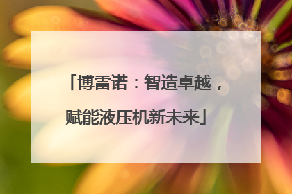 博雷诺：智造卓越，赋能液压机新未来