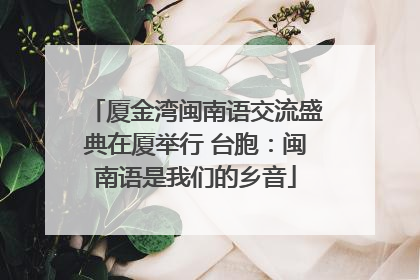 厦金湾闽南语交流盛典在厦举行 台胞：闽南语是我们的乡音