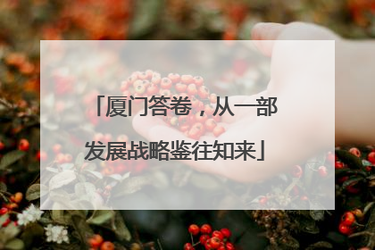 厦门答卷，从一部发展战略鉴往知来