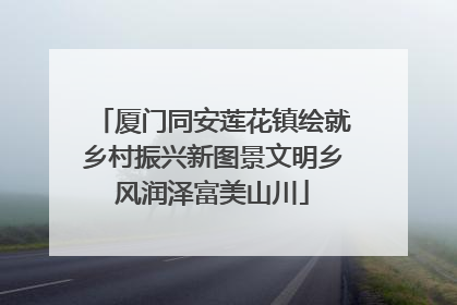 厦门同安莲花镇绘就乡村振兴新图景文明乡风润泽富美山川