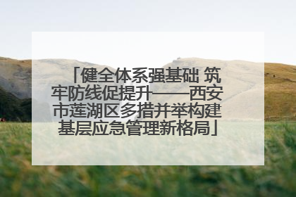 健全体系强基础 筑牢防线促提升——西安市莲湖区多措并举构建基层应急管理新格局