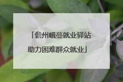 儋州峨蔓就业驿站助力困难群众就业