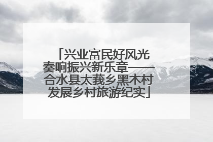兴业富民好风光 奏响振兴新乐章——合水县太莪乡黑木村发展乡村旅游纪实