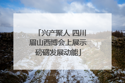 兴产聚人 四川眉山西博会上展示磅礴发展动能