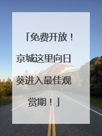 免费开放！京城这里向日葵进入最佳观赏期！