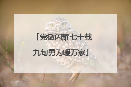 党徽闪耀七十载 九旬勇为暖万家