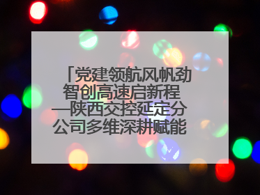 党建领航风帆劲 智创高速启新程—陕西交控延定分公司多维深耕赋能运营管理新跨越