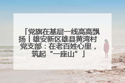 党旗在基层一线高高飘扬丨雄安新区雄县黄湾村党支部：在老百姓心里，筑起“一座山”