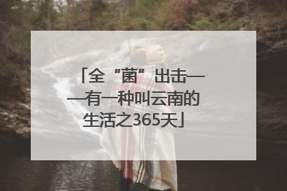 全“菌”出击——有一种叫云南的生活之365天
