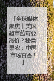 全球媒体聚焦丨美国超市蓝莓要涨价？秘鲁果农：中国市场真香！