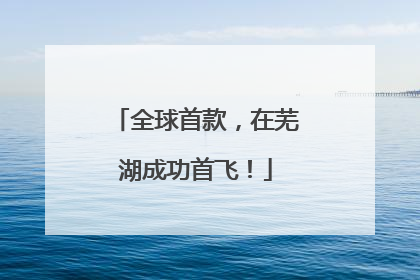 全球首款，在芜湖成功首飞！