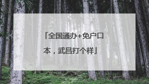 全国通办+免户口本，武昌打个样