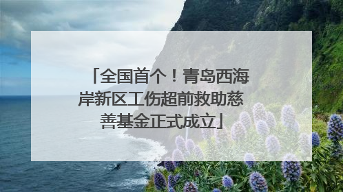 全国首个！青岛西海岸新区工伤超前救助慈善基金正式成立