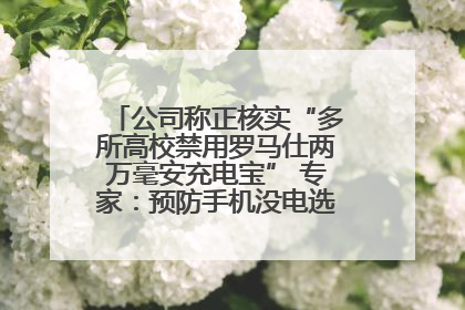 公司称正核实“多所高校禁用罗马仕两万毫安充电宝” 专家：预防手机没电选中等体积产品即可