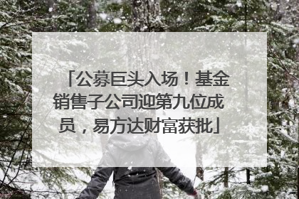 公募巨头入场！基金销售子公司迎第九位成员，易方达财富获批