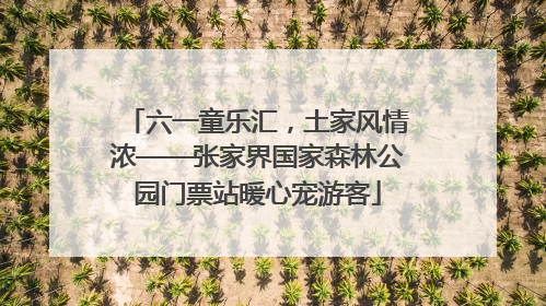 六一童乐汇，土家风情浓——张家界国家森林公园门票站暖心宠游客