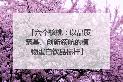 六个核桃：以品质筑基、创新领航的植物蛋白饮品标杆