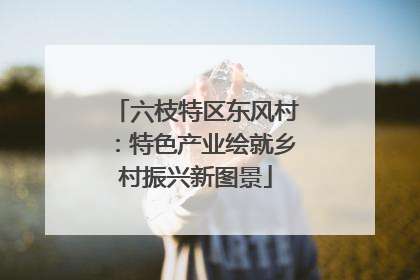 六枝特区东风村：特色产业绘就乡村振兴新图景