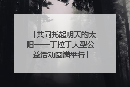 共同托起明天的太阳——手拉手大型公益活动圆满举行