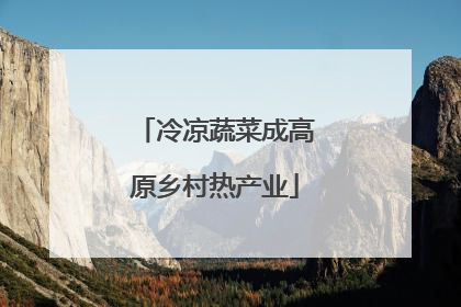 冷凉蔬菜成高原乡村热产业