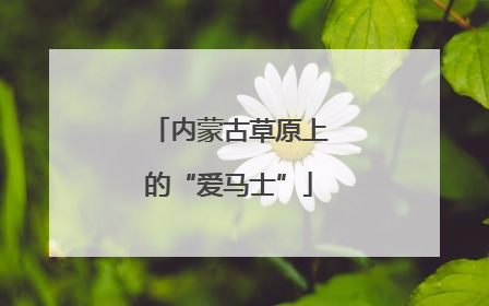 内蒙古草原上的“爱马士”