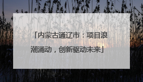 内蒙古通辽市：项目浪潮涌动，创新驱动未来