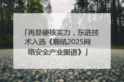 再显硬核实力，东进技术入选《嘶吼2025网络安全产业图谱》