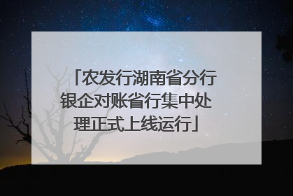 农发行湖南省分行银企对账省行集中处理正式上线运行
