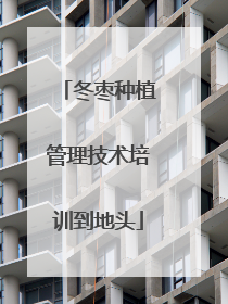冬枣种植管理技术培训到地头