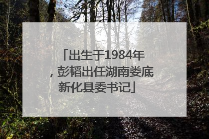 出生于1984年，彭韬出任湖南娄底新化县委书记