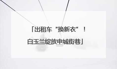 出租车“换新衣”！白玉兰绽放申城街巷