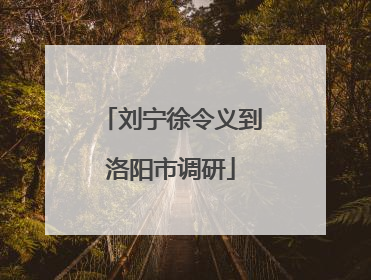 刘宁徐令义到洛阳市调研