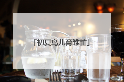 初夏鸟儿育雏忙