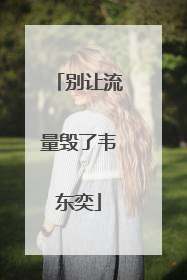 别让流量毁了韦东奕