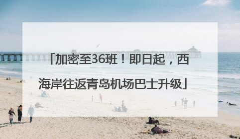 加密至36班！即日起，西海岸往返青岛机场巴士升级