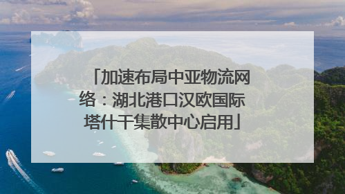 加速布局中亚物流网络：湖北港口汉欧国际塔什干集散中心启用